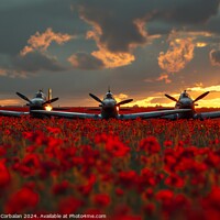 Buy canvas prints of Two classic airplanes from the Battle of Britain Memorial sitting in a field filled with vibrant poppy by Joaquin Corbalan