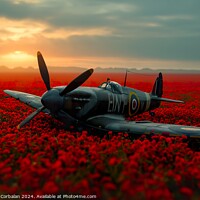 Buy canvas prints of A classic aircraft peacefully sits in a vibrant field of red flowers at the Battle of Britain Memorial. by Joaquin Corbalan