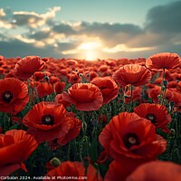 Buy canvas prints of A field filled with poppy red flowers stands beneath a cloudy sky, creating a striking and vivid scene. by Joaquin Corbalan