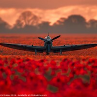Buy canvas prints of A small airplane sits among a vibrant field of red flowers. by Joaquin Corbalan
