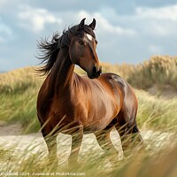 Buy canvas prints of A proud brown stallion stands on a sandy beach facing the North Sea. by Joaquin Corbalan
