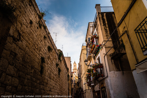 Beautiful streets of Bari, Italian medieval city. Picture Board by Joaquin Corbalan