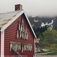 Buy canvas prints of Fishing village in norway, with cod drying by Joaquin Corbalan