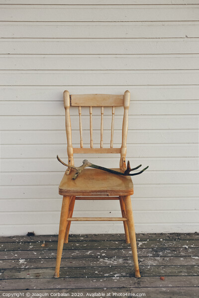 Old vintage wooden chair, with deer antlers Picture Board by Joaquin Corbalan