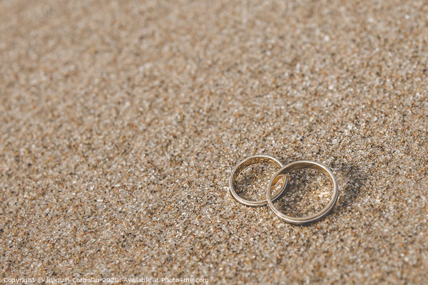 Wedding rings for the bride and groom. Picture Board by Joaquin Corbalan