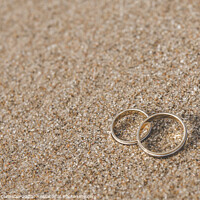 Buy canvas prints of Wedding rings for the bride and groom. by Joaquin Corbalan