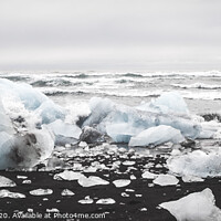 Buy canvas prints of Giant ice blocks detached from icebergs on the coast of an Icelandic beach. by Joaquin Corbalan