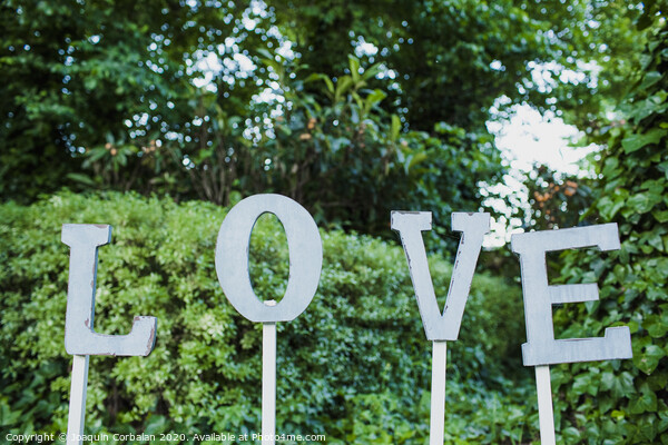 Word Love in wooden letters to decorate a wedding. Picture Board by Joaquin Corbalan