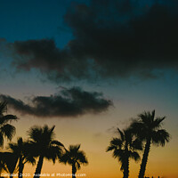 Buy canvas prints of Silhouettes of tropical palm trees in a warm sunset. by Joaquin Corbalan