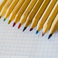 Buy canvas prints of Group of pencils arranged on graph paper. by Joaquin Corbalan