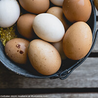 Buy canvas prints of Bucket full of white and brown chicken eggs. by Joaquin Corbalan