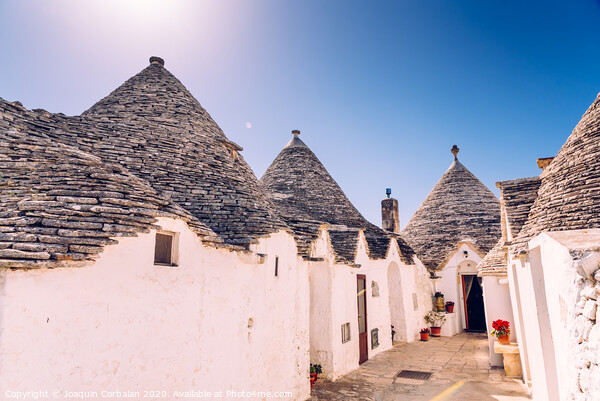 Houses of the tourist and famous Italian city of Alberobello, with its typical white walls and trulli conical roofs. Picture Board by Joaquin Corbalan
