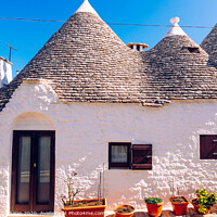 Buy canvas prints of Houses of the tourist and famous Italian city of Alberobello, with its typical white walls and trulli conical roofs. by Joaquin Corbalan