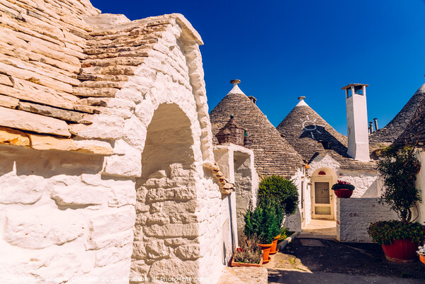 Beautiful single-storey houses of rounded construction called trulli, typical of the area of Alberobello in Italy. Picture Board by Joaquin Corbalan