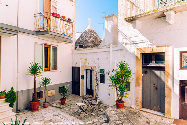 Facades of old Italian Mediterranean houses in Bari painted in colors. Picture Board by Joaquin Corbalan