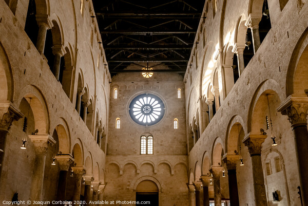 Interior of the main nave of the Cathedral Basilica of San Sabino in Bari. Picture Board by Joaquin Corbalan