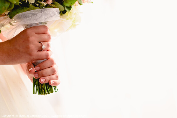 A woman's hand with wedding ring while holding her bouquet, plenty of white copy space. Picture Board by Joaquin Corbalan
