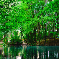 Buy canvas prints of Transparent water of a stream and a lake in the green forest by Joaquin Corbalan