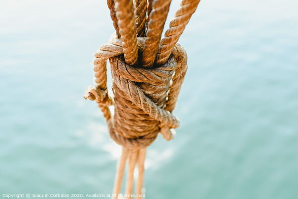 Rigging and ropes on an old sailing ship to sail in summer. Picture Board by Joaquin Corbalan