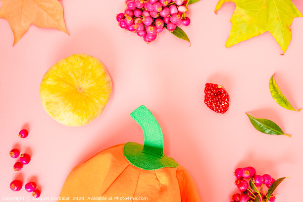 Autumnal background with leaves and berries next to a pumpkin cloth. Picture Board by Joaquin Corbalan