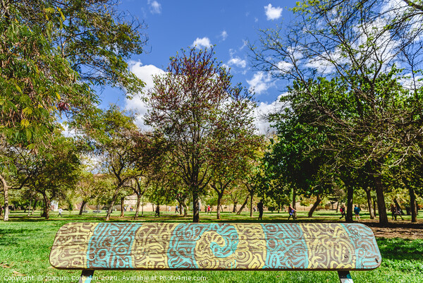 Wooden bench to rest decorated with a beautiful design of labyrinthine lines in a public garden. Picture Board by Joaquin Corbalan