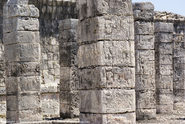 Carved stone columns with Mayan images in Chichen Itza, Mexico. Picture Board by Joaquin Corbalan