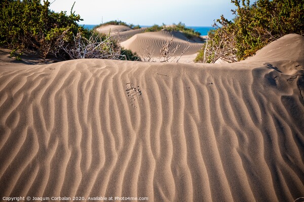 Dunas del desierto con ondasDesert dunes with waves Picture Board by Joaquin Corbalan