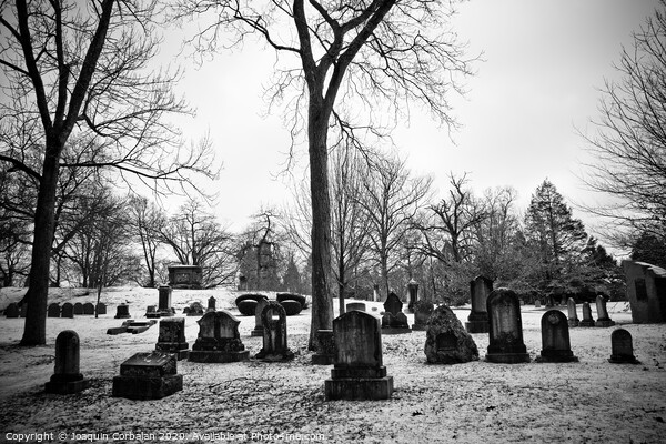 black and white snowy graveyard with aged tombstones Picture Board by Joaquin Corbalan