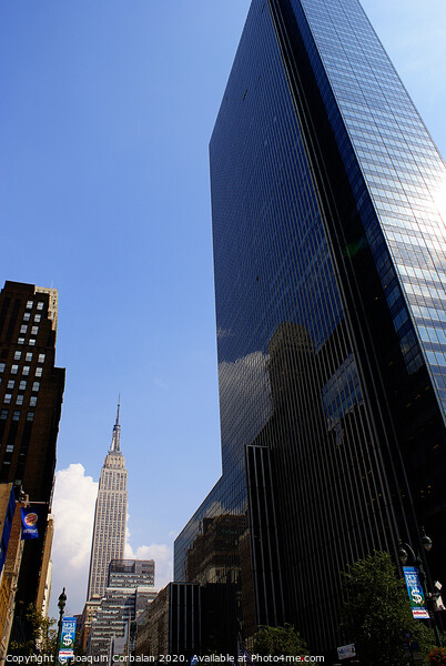skyscrapers of the city of New York during the summer. Picture Board by Joaquin Corbalan