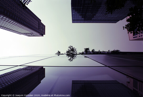 Large buildings with reflections of a big city Picture Board by Joaquin Corbalan