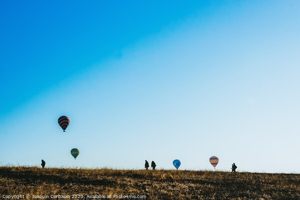 Silhouettes of tourists walking through a meadow while watching hot air balloons flying on the horizon, blue sky background, copy space, added film grain. Picture Board by Joaquin Corbalan