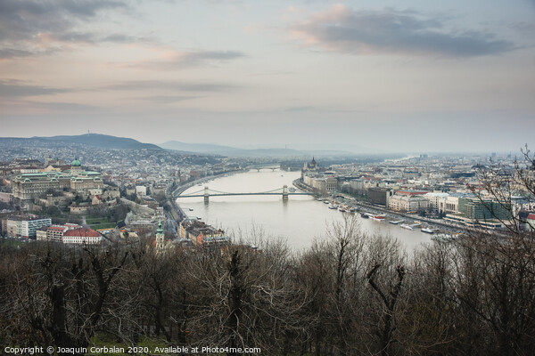 Sunset view of the city of Budapest on a cloudy day. Picture Board by Joaquin Corbalan