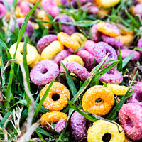 Buy canvas prints of Detail of a ring cereal breakfast of bright colors scattered on the ground of a park. by Joaquin Corbalan