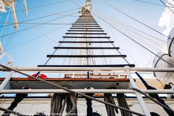 Rope ladders on a sailboat. Picture Board by Joaquin Corbalan