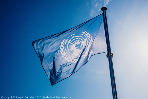 UN flag waved against the sun and blue sky. Picture Board by Joaquin Corbalan