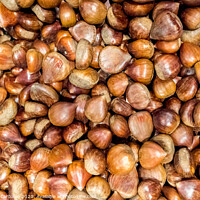 Buy canvas prints of Piles of fresh unpeeled raw chestnuts. by Joaquin Corbalan