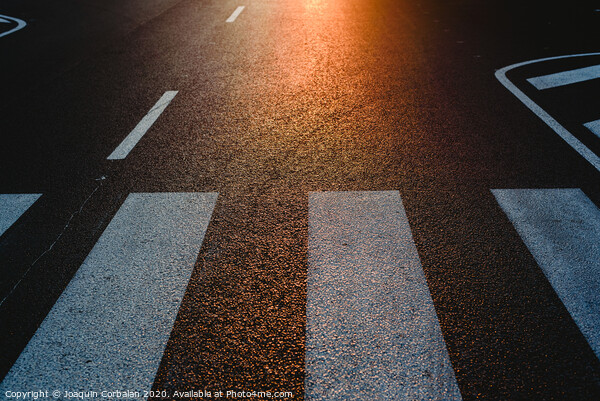Lonely street with pedestrian crossing at sunset, texture with space for text. Picture Board by Joaquin Corbalan