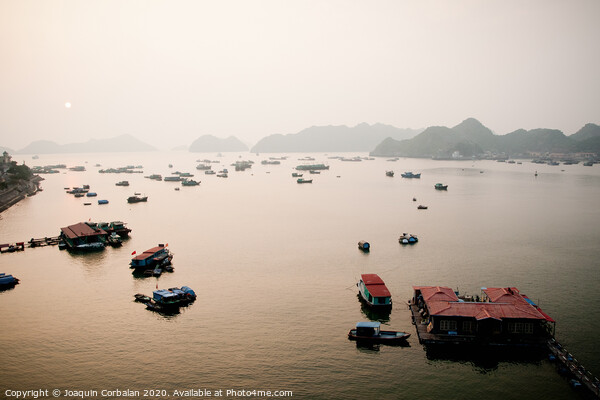 Vietnamese bay with boats plying the sea between mountains and rocks at sunset Picture Board by Joaquin Corbalan