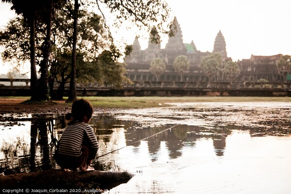 Girl fishing in the lake of Angkor Wat, ancient Cambodian city hidden in the forest very visited by tourists Picture Board by Joaquin Corbalan