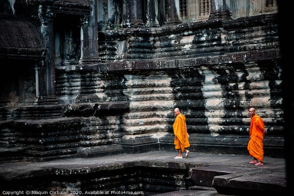 tibetan monks in orange robes visiting remote Cambodian temples to meditate. Picture Board by Joaquin Corbalan