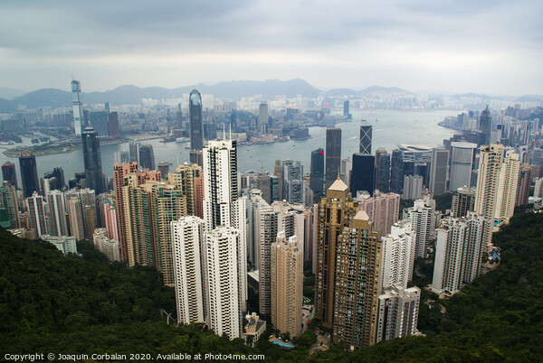Vew of the skyscrapers and the Hong Kong Bay from above. Picture Board by Joaquin Corbalan