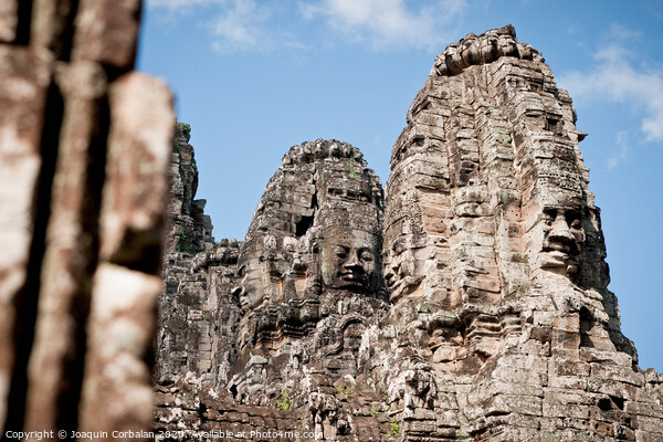 Ruins of ancient temples around the religious complex of Angkor Thom Picture Board by Joaquin Corbalan
