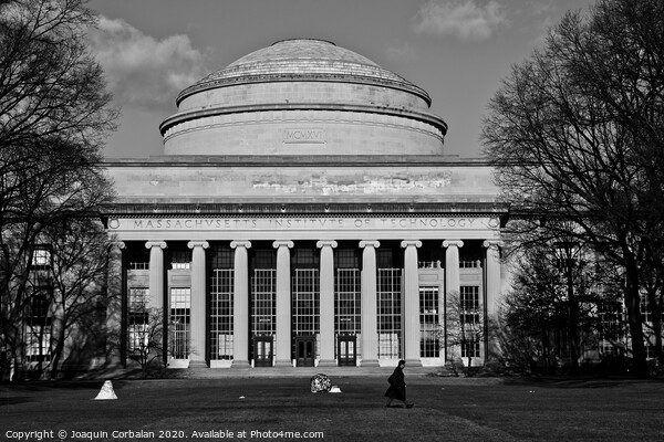  Man walking in front of the main building of MIT, Massachusetts Institute of Technology Picture Board by Joaquin Corbalan