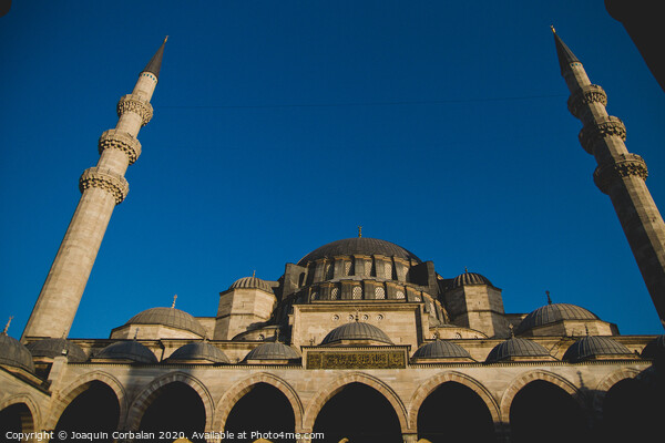 Main facade of the historic mosque of Hagia Sophia Picture Board by Joaquin Corbalan
