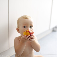 Buy canvas prints of Baby led weaning, baby learning to eat with his first foods. by Joaquin Corbalan