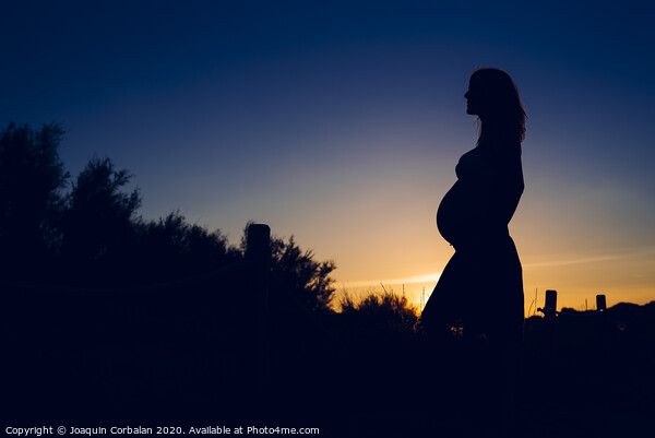 Silhouette of pregnant woman at sunset with solid color background. Picture Board by Joaquin Corbalan