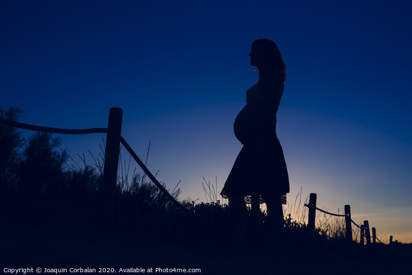 Silhouette of pregnant woman at sunset with solid color background. Picture Board by Joaquin Corbalan