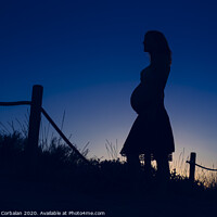 Buy canvas prints of Silhouette of pregnant woman at sunset with solid color background. by Joaquin Corbalan