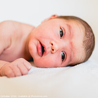 Buy canvas prints of Face portrait of a newborn baby, calm and relaxed. by Joaquin Corbalan