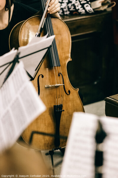Violoncello held by a musician during a break at a classical music concert. Picture Board by Joaquin Corbalan
